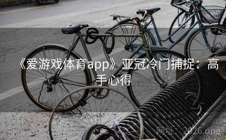 《爱游戏体育app》亚冠冷门捕捉:高手心得