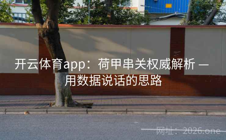 开云体育app：荷甲串关权威解析 — 用数据说话的思路