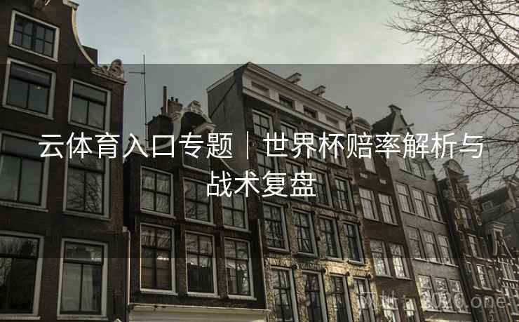 云体育入口专题|世界杯赔率解析与战术复盘