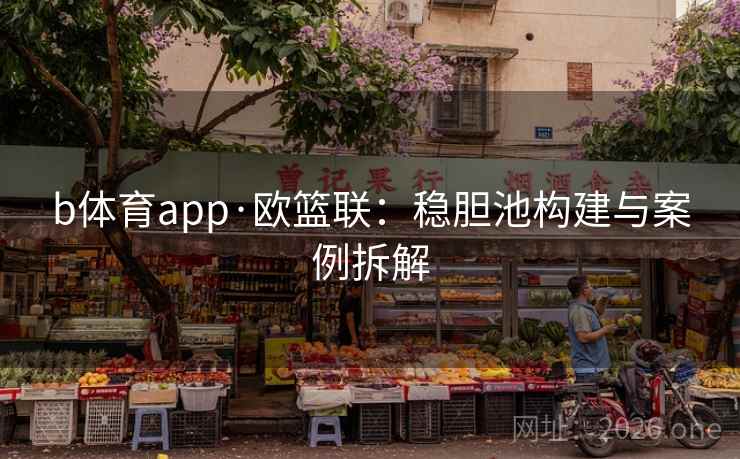 b体育app·欧篮联:稳胆池构建与案例拆解