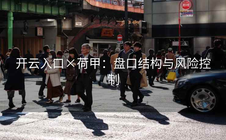 开云入口×荷甲:盘口结构与风险控制