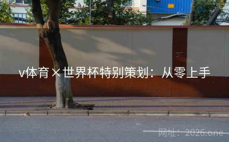 v体育×世界杯特别策划：从零上手